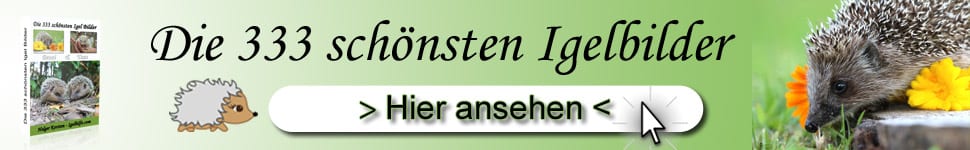 Igelbilder
